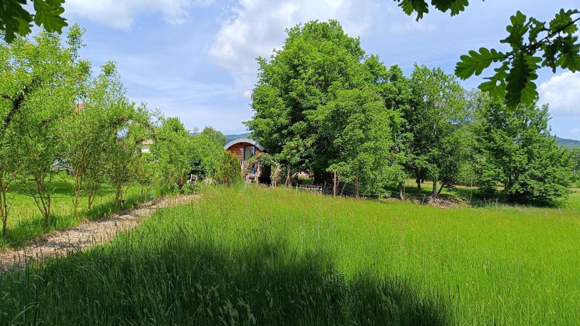 La Roulotte Tiny House Du Mond'Ideal Leval  Zewnętrze zdjęcie